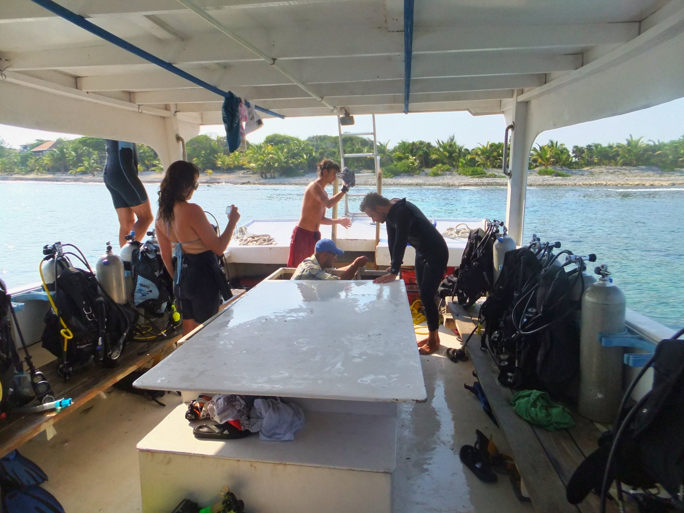 First Open Water Dive