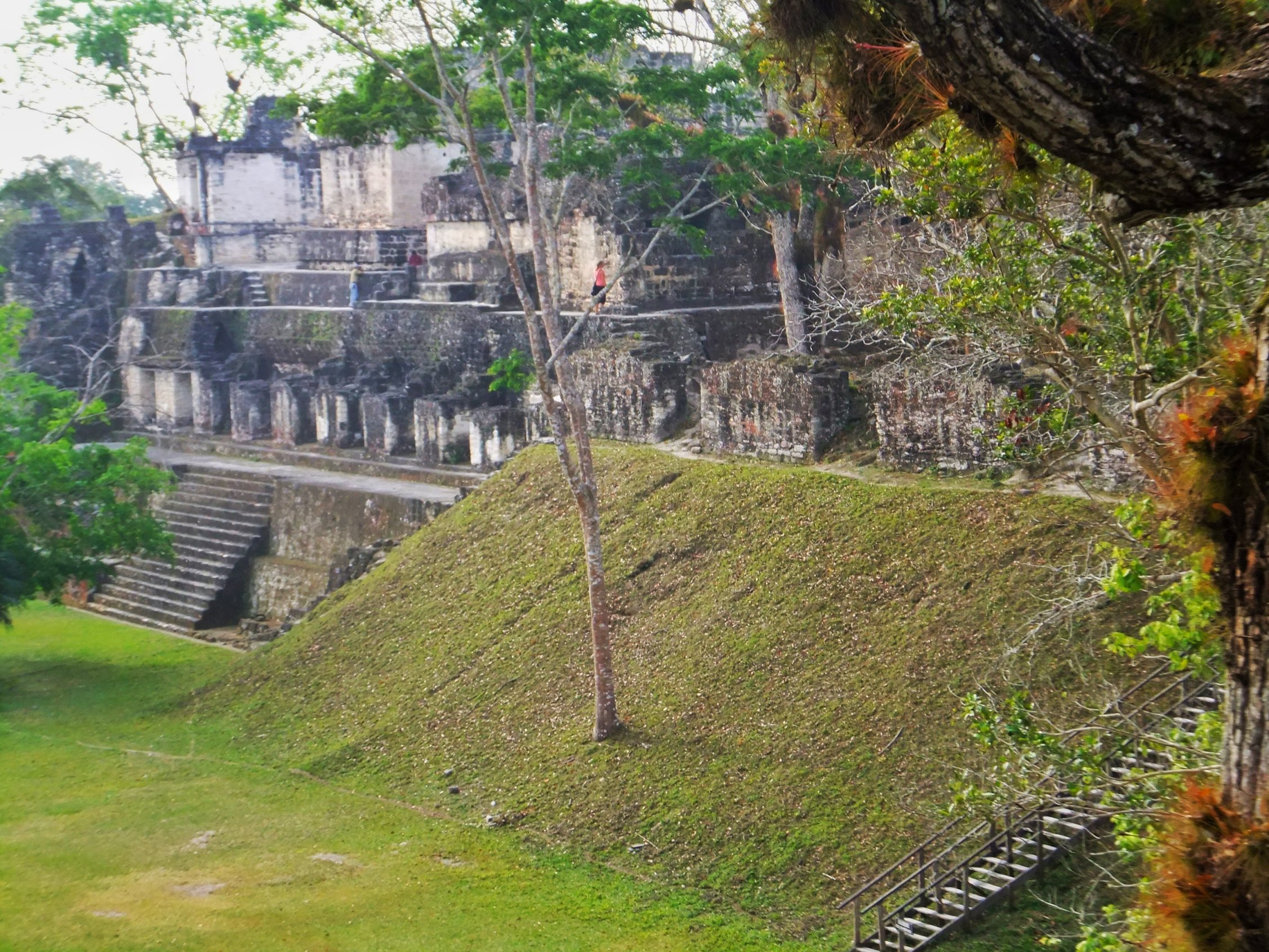 Exploring Tikal