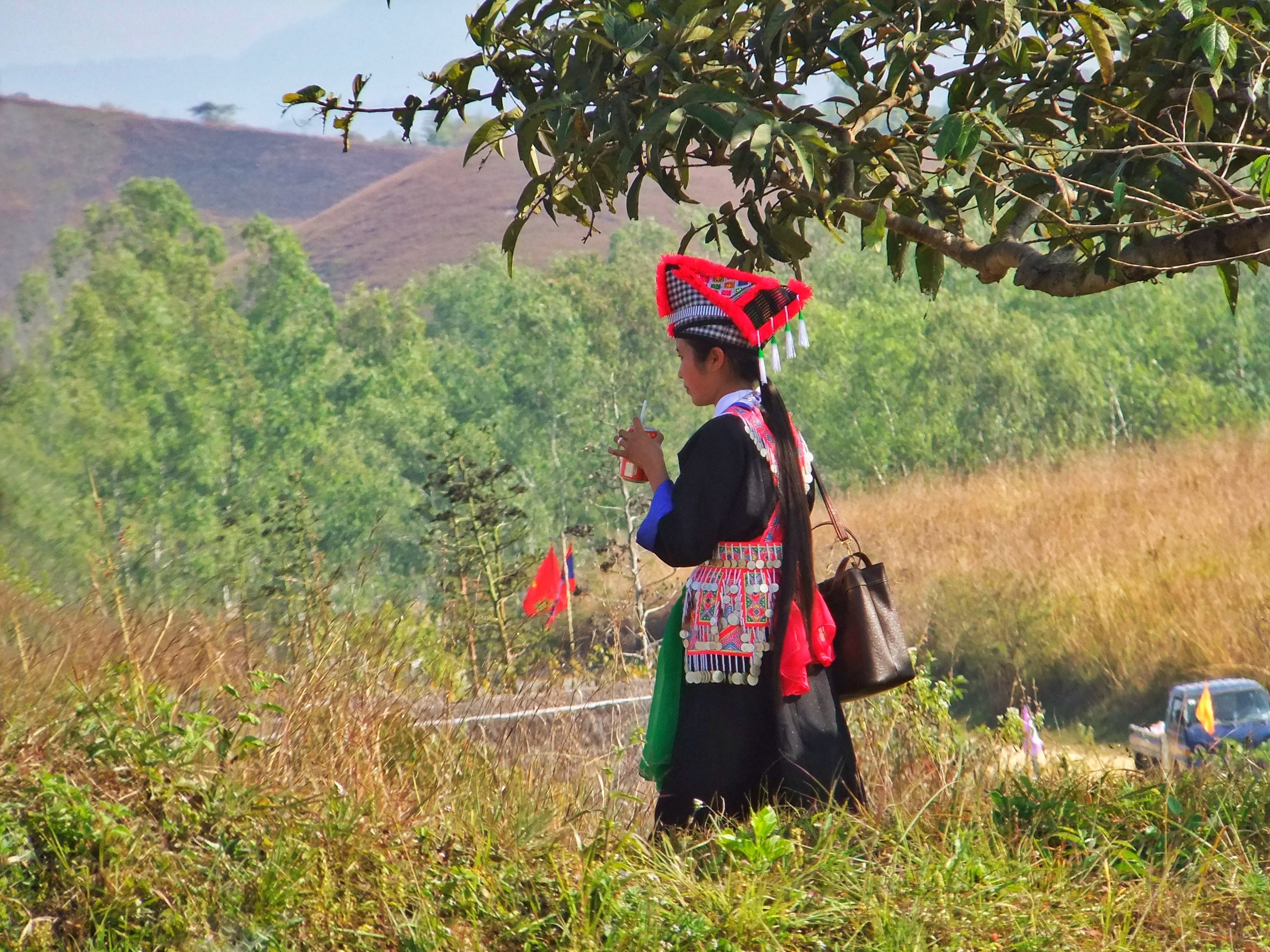 Plain of Jars