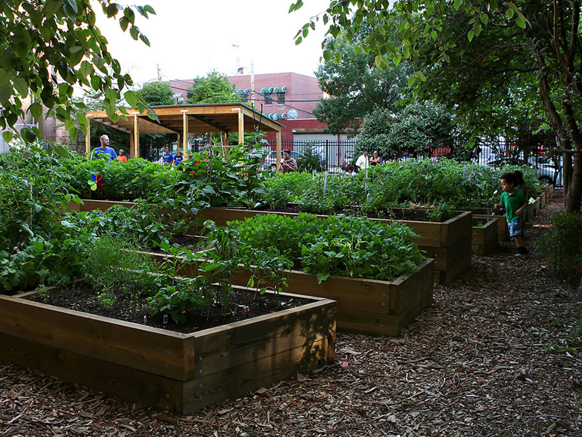 Best Community Gardens In NYC From City Farms To Rooftop Gardens Image 