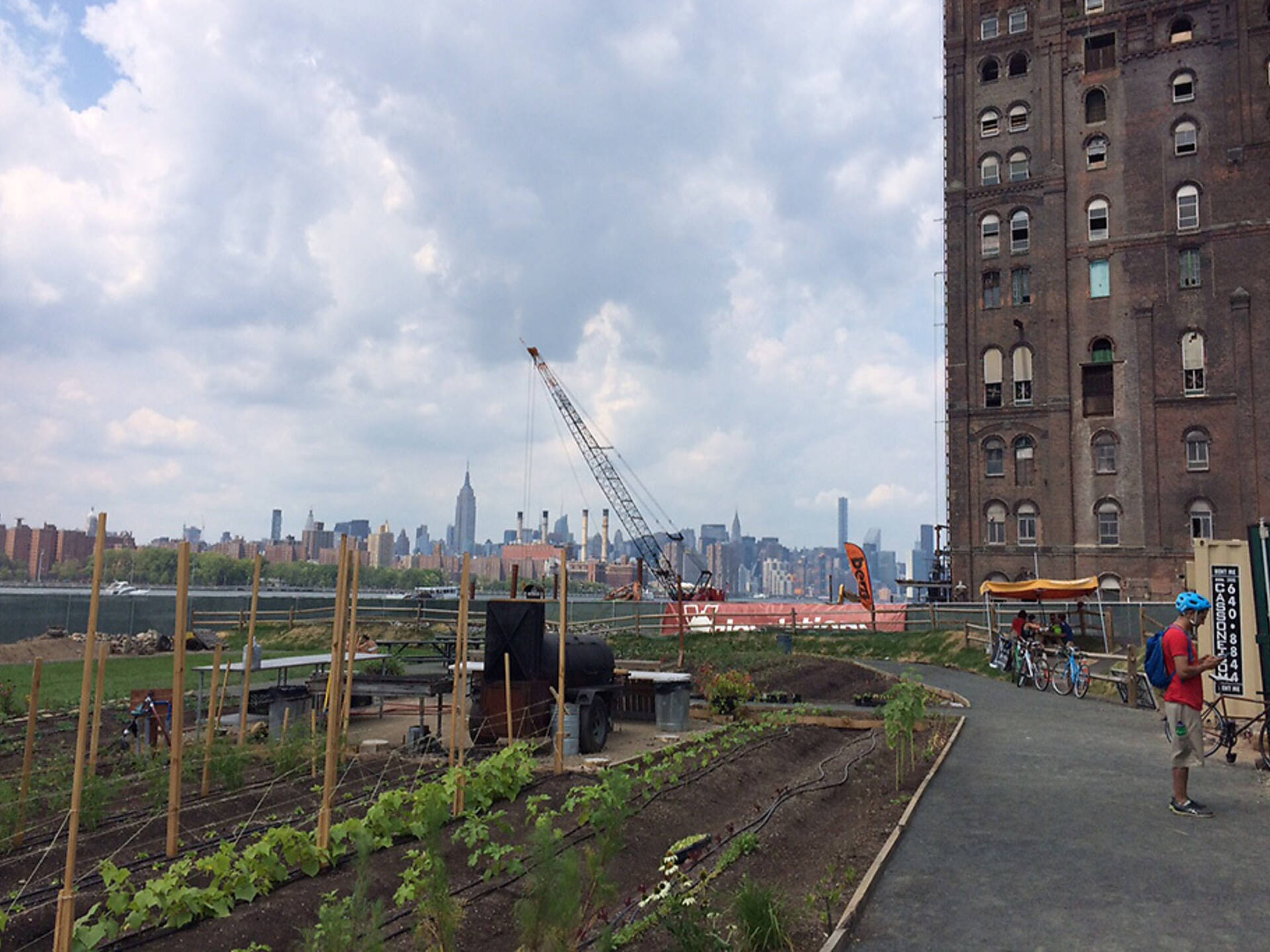 Best Community Gardens In NYC From City Farms To Rooftop Gardens Image 