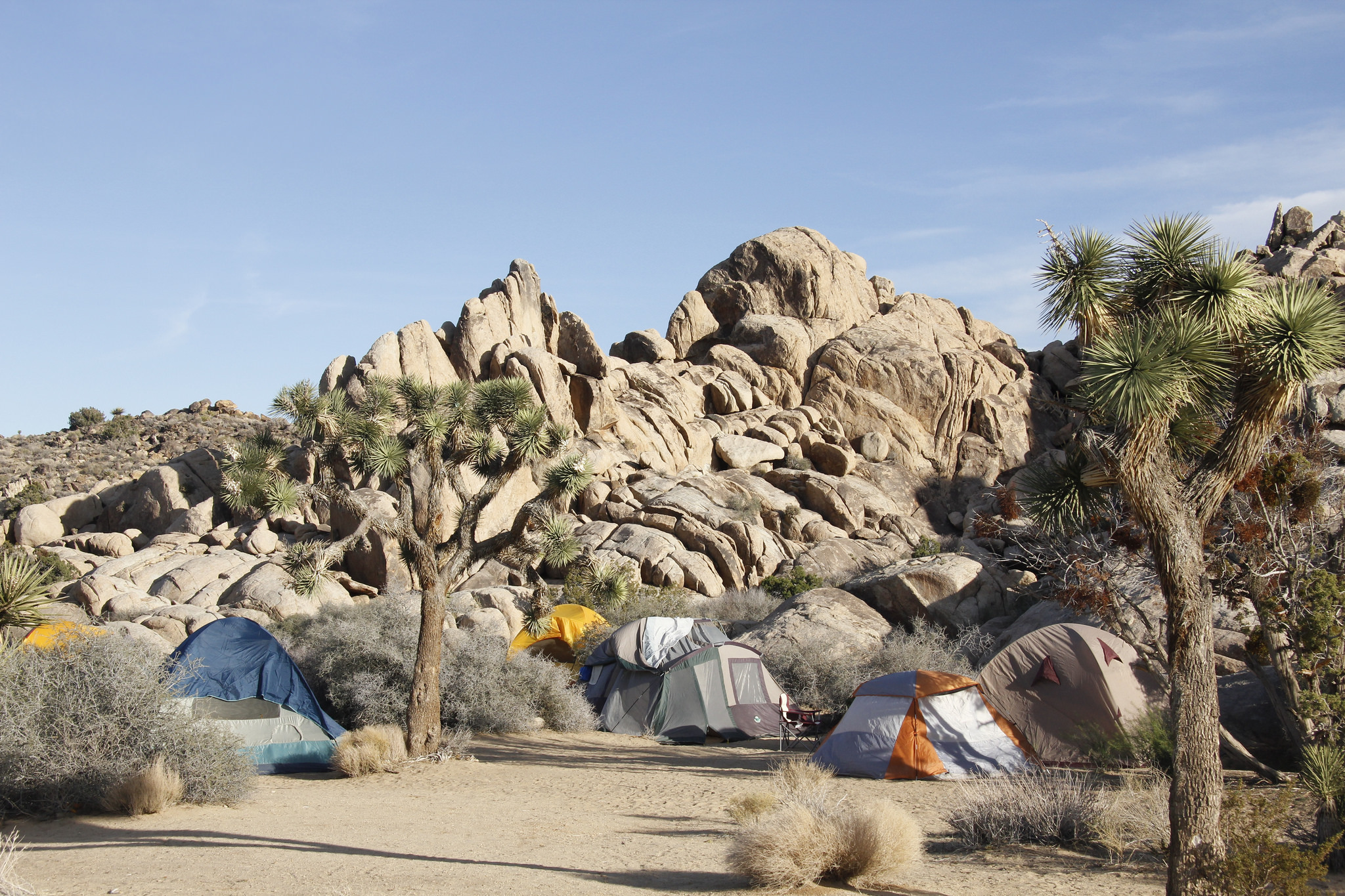 Cottonwood Campground Joshua Tree National Park U S National Park Service