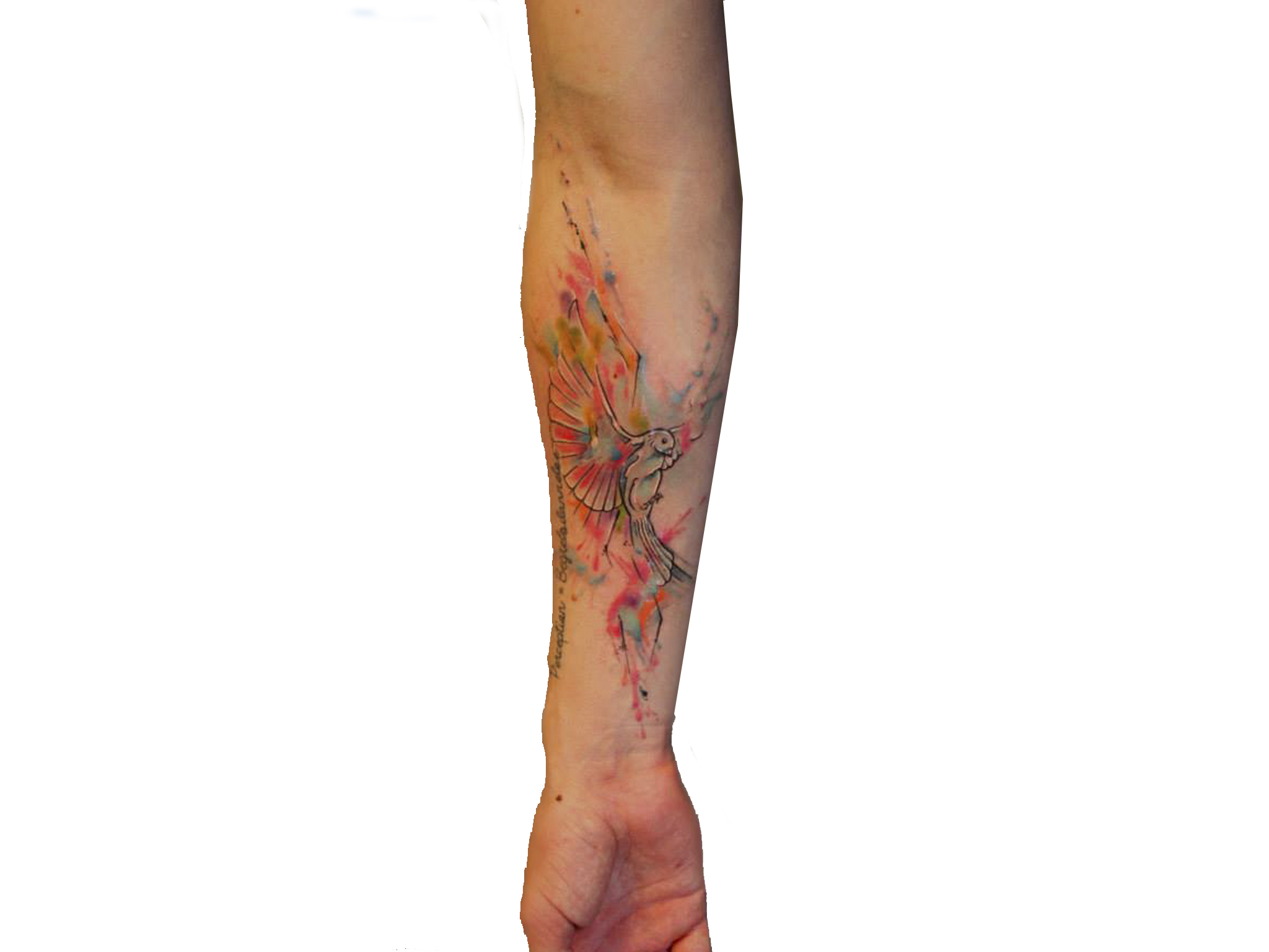 Caixa de correio tatuagem 85 Ideias De Caixa De Correio Com Mosaicos Joe Romio Em 2021 Caixa De Correio Mosaicos Modelos De Caixa