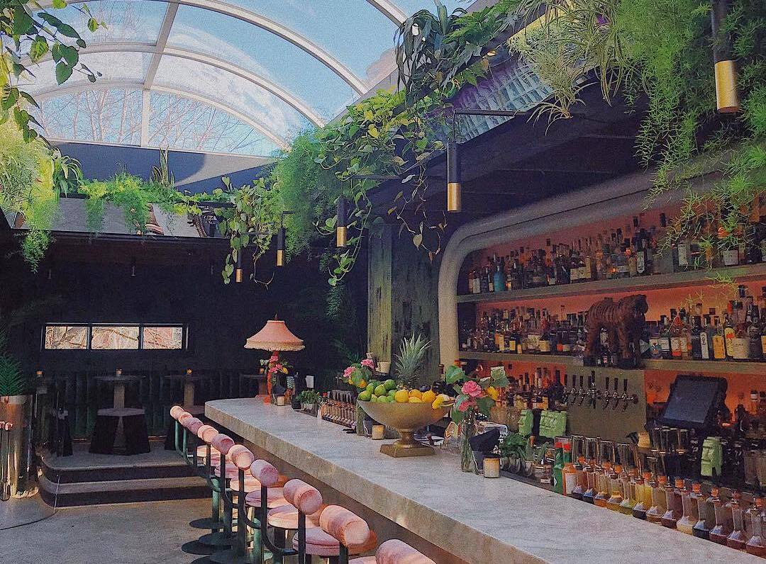 Why lamelo ball has been the perfect party guest in charlotte and may be everything hornets fans were hoping for. 13 Best Montreal Speakeasy and Secret Bars for Covert