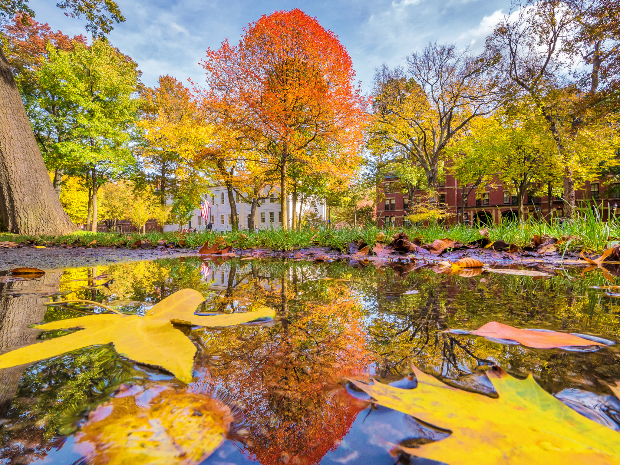From the boston tea party to the boston massacre, new england’s largest city, boston, massachusetts, cemented itself as a key player during the american revolution. 11 Ways To Have An Amazing Fall In Boston In 2020