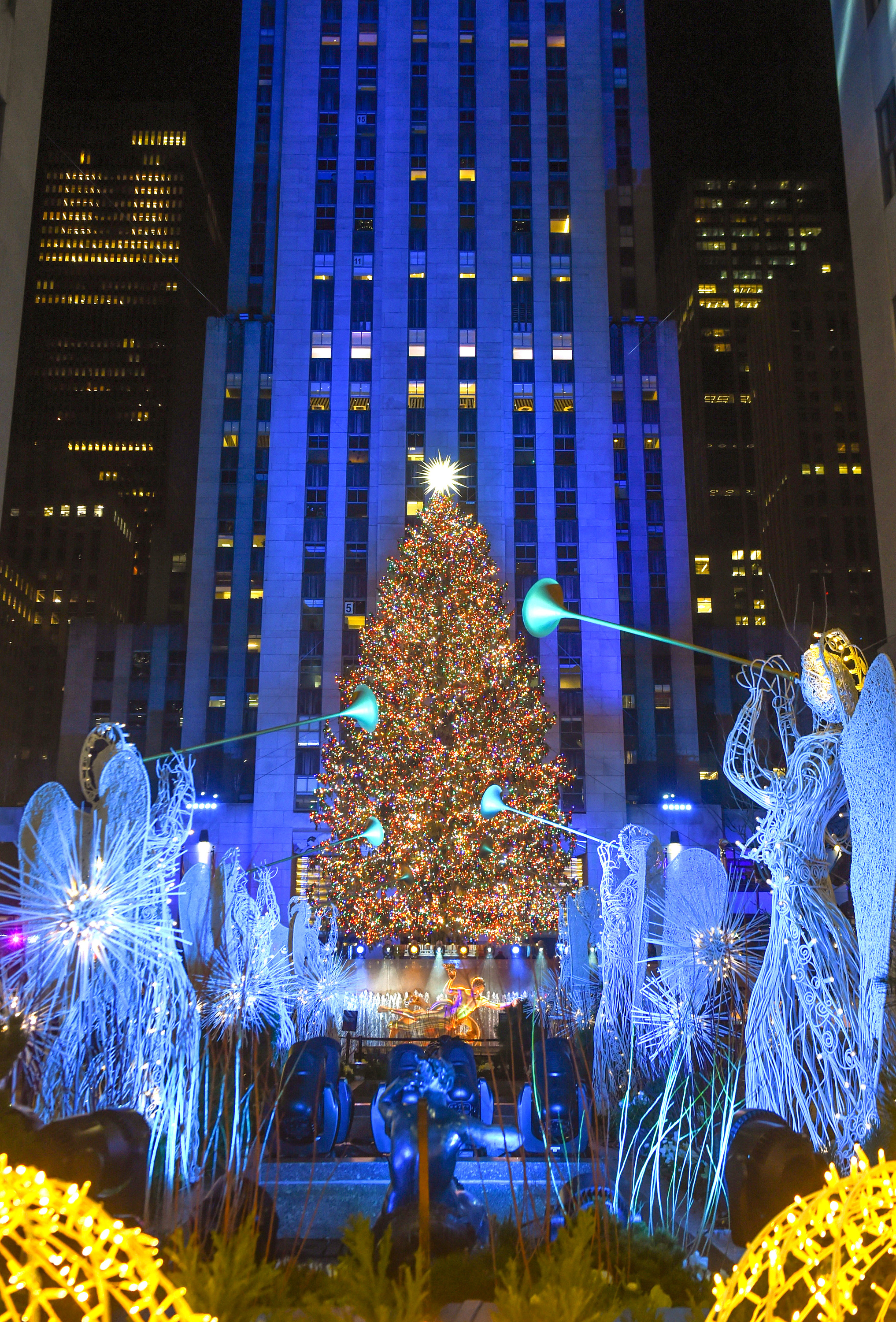 Best Christmas Trees To See In Nyc