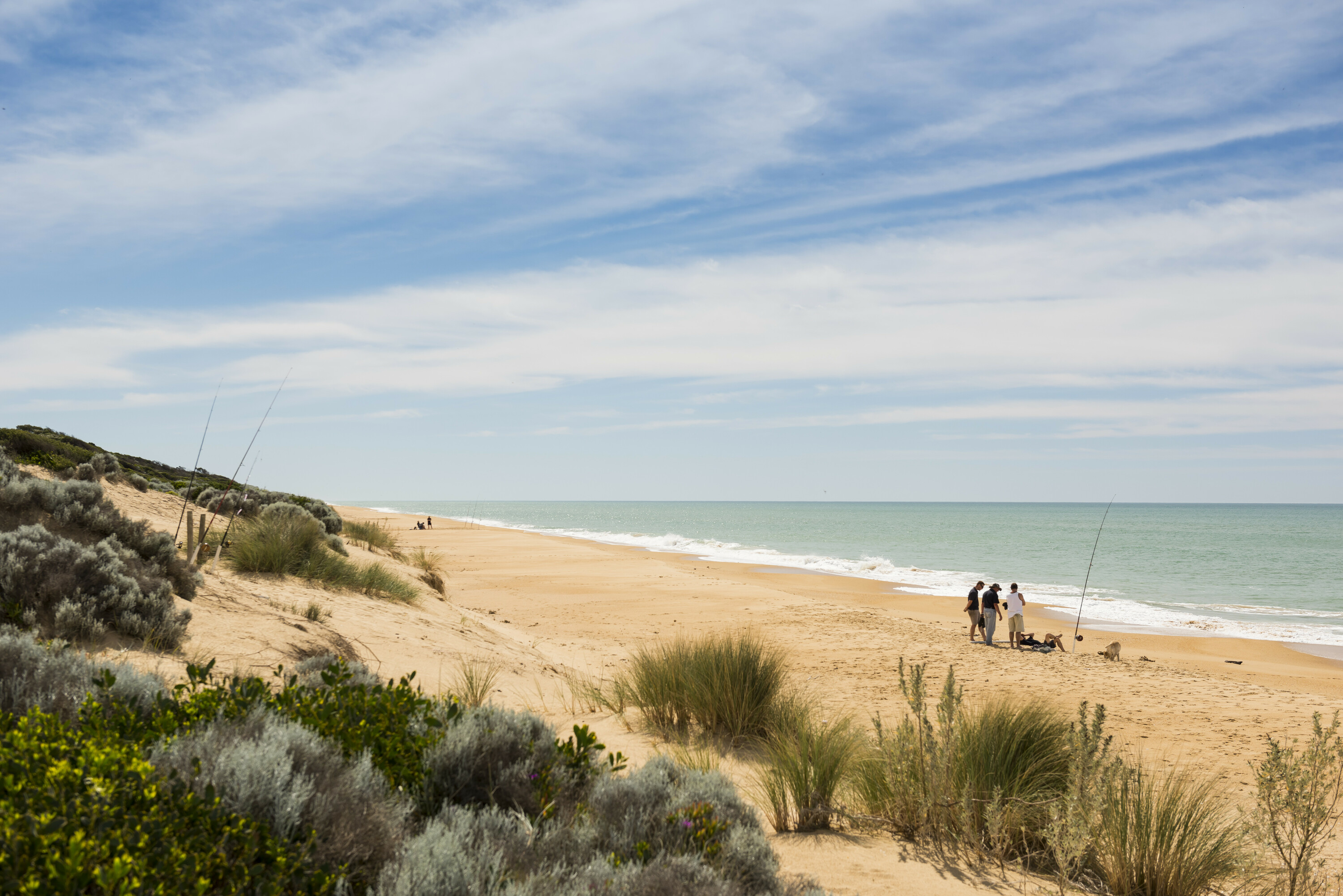 The best free campsites near melbourne