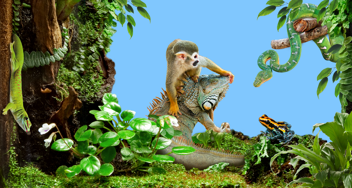 Magische Lichterwelten Die Ersten Leucht Tiere Schmucken Den Zoo Halle Mz De