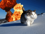 Funny Explosion Gifs Tenor