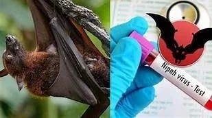 WhatsApp Image 2023-09-16 at 5.21.06 PM