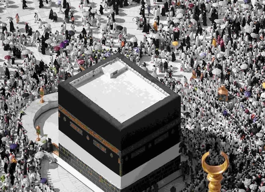 WhatsApp Image 2024-01-08 at 11.51.03 AM