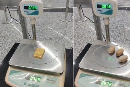 WhatsApp Image 2024-03-05 at 10.19.09 AM