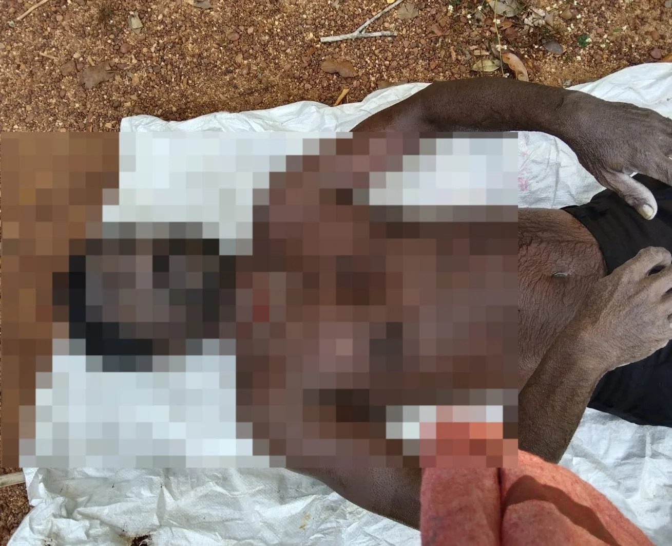 WhatsApp Image 2024-03-09 at 4.27.17 PM