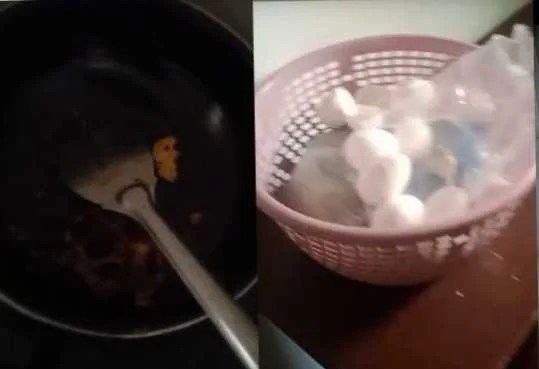 WhatsApp Image 2024-03-19 at 2.56.23 PM