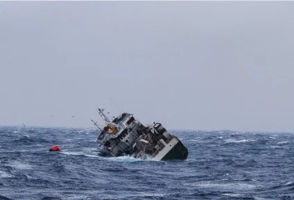 WhatsApp Image 2024-04-08 at 10.10.10 AM