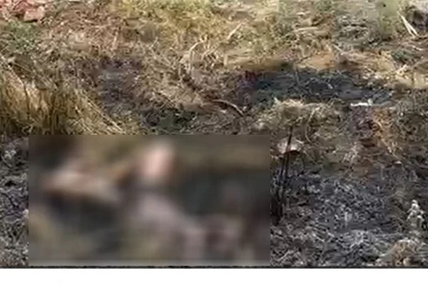 WhatsApp Image 2024-04-19 at 10.19.09 AM