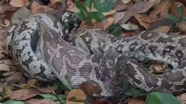 WhatsApp Image 2024-04-22 at 9.42.08 AM