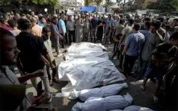 WhatsApp Image 2024-07-17 at 12.23.20 PM