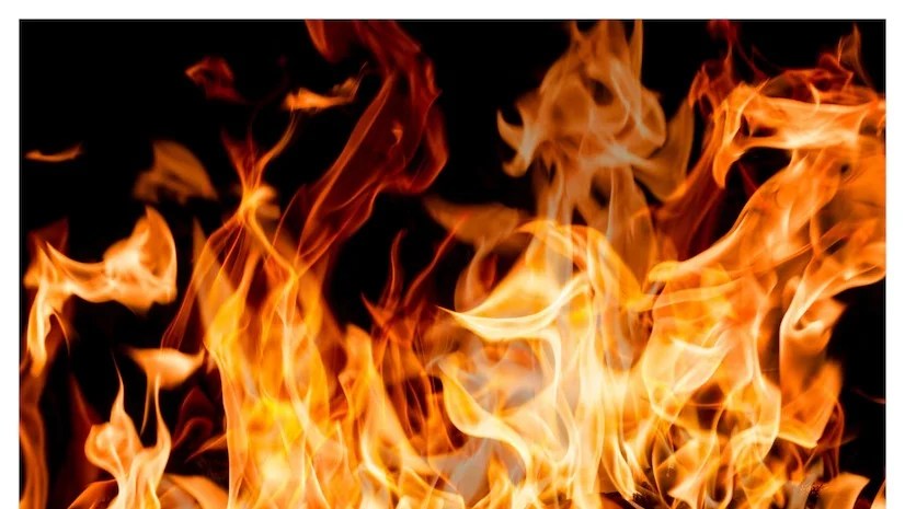 WhatsApp Image 2024-12-18 at 9.16.02 AM