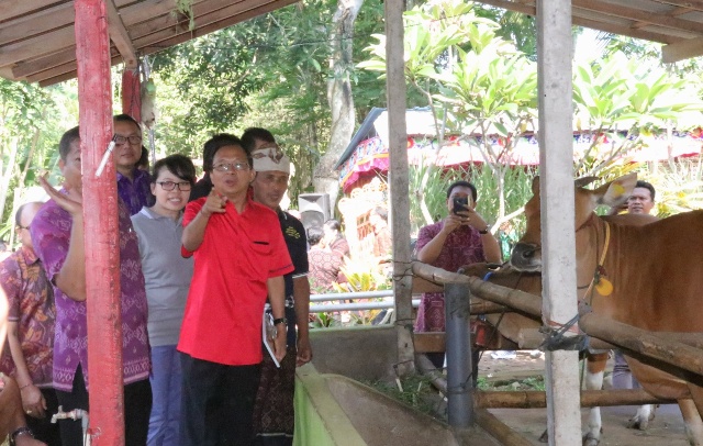 Koster Gubernur Koster Serahkan Penghargaan Simantri Berprestasi, Bangkitkan Minat Masyarakat Beternak Sapi Bali