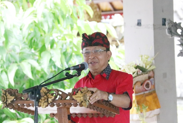 Gubernur Bali Wayan Koster