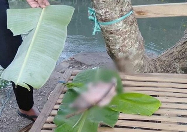 Ditemukan mayat bayi laki-laki mengapung di sungai Dugul di Jalan Raya Pemogan gang Kubu Sawah, Banjar Jaba Jati, Desa Pemogan