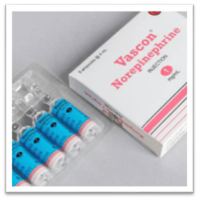 Dosis norepinefrin dimulai dari 25 mg/kgbb/menit. Acuan Perhitungan Kecepatan Obat Untuk Terapi Titrasi Dan Berbagai Hal Yang Perlu Diperhatikan Media Perawat Id