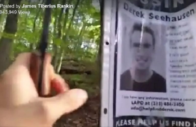 Man Finds Missing Persons Shrine In The Wood And It S Creepy Af - Download Stunning Landscape Texture | HD