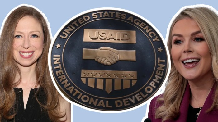 Usaid net worth