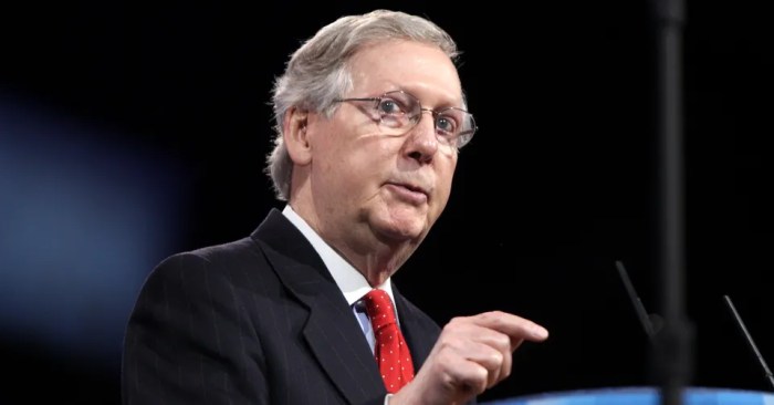 Mcconnell net worth