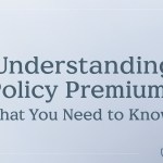 Understanding Policy Premiums