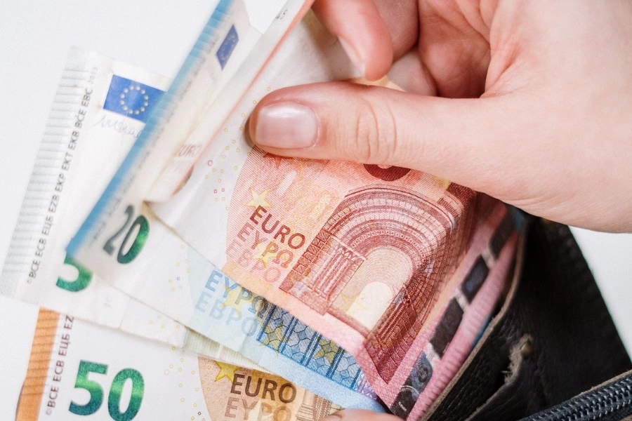 What does ppo stand for in medical insurance?