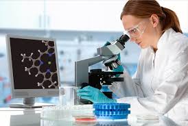 stem cells 66