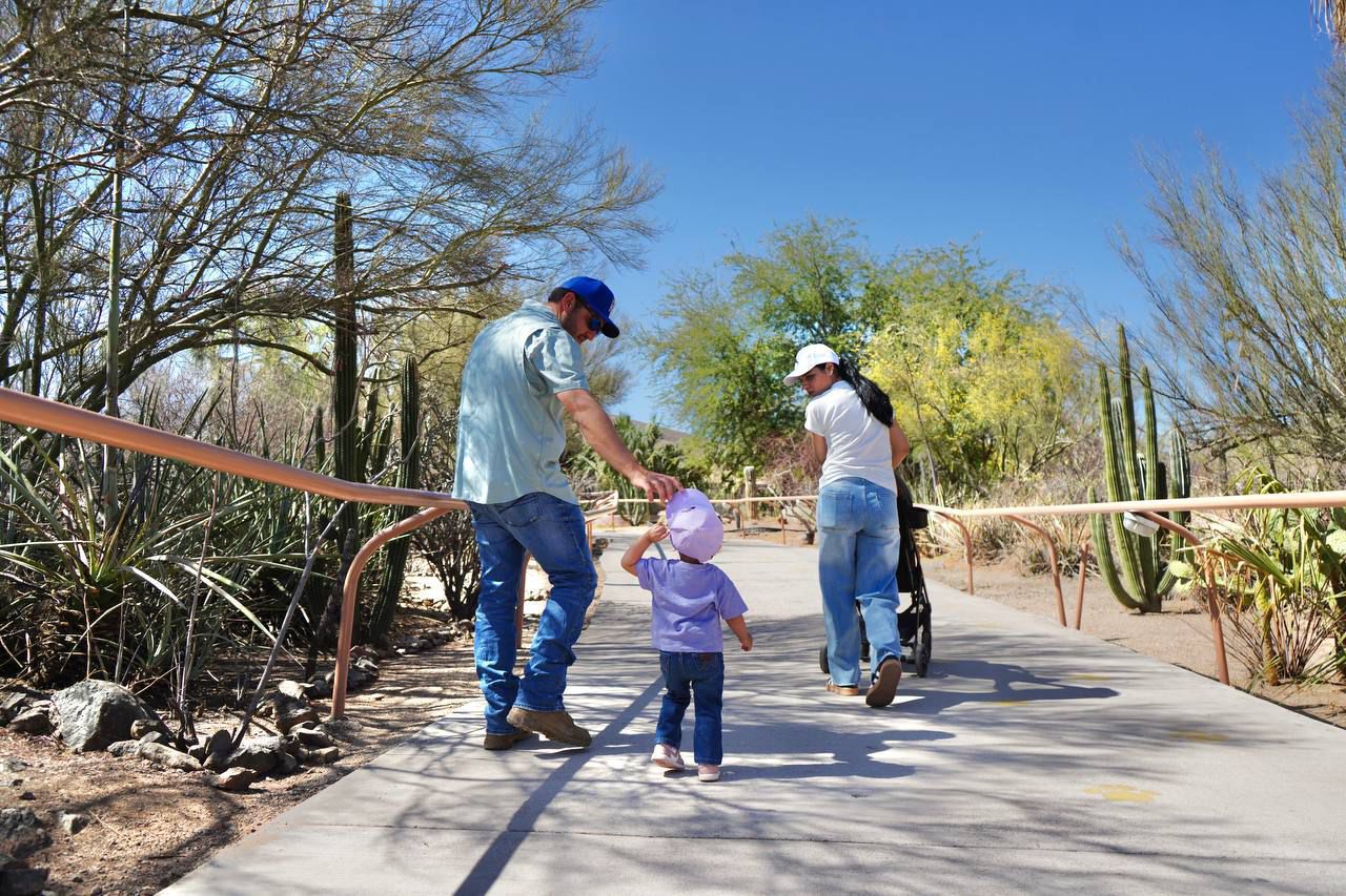 Acuario del Centro Ecológico de Sonora reabriría este verano, confirma CEDES