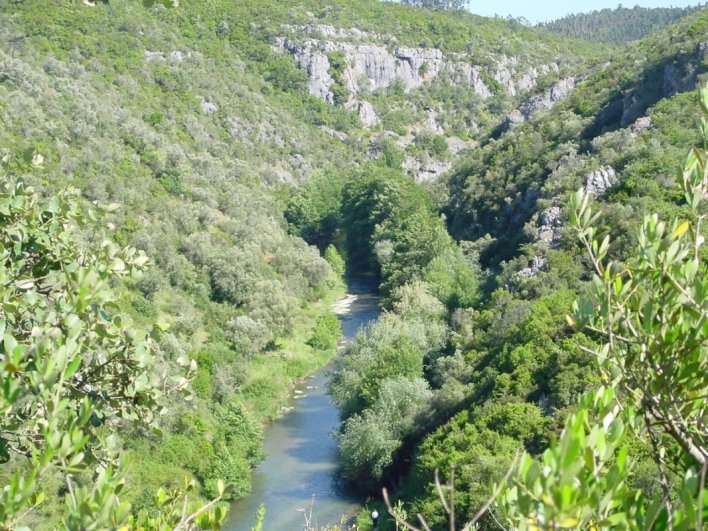 DSC00018.