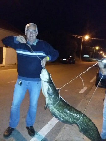 PEIXE_GATO2