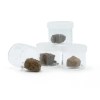 5 x 1 Gram Hash Samplers (Find Your Favorite For Bulk)