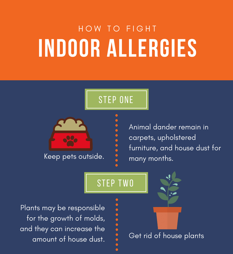 14 Ways to Make an Allergy Free Home (Infographic) Mediscript