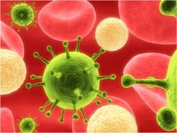 Bloodborne pathogens