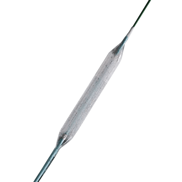 EverFlow Drug Paclitaxel Coated PTCA Balloon Catheter (DCB)