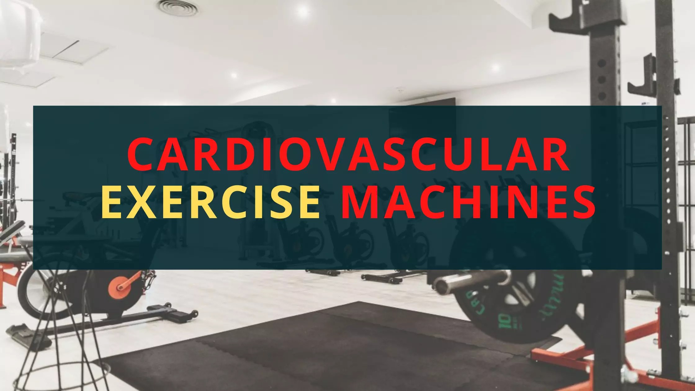 Cardiovascular Exercise Machines The Ultimate Guide to Choosing the