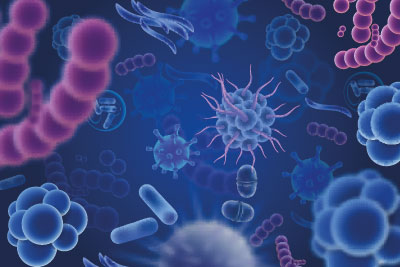 Wann soll ich mit meinem kind zur ärztin/zum arzt? Infektion - Ursachen, Symptome & Behandlung | MedLexi.de