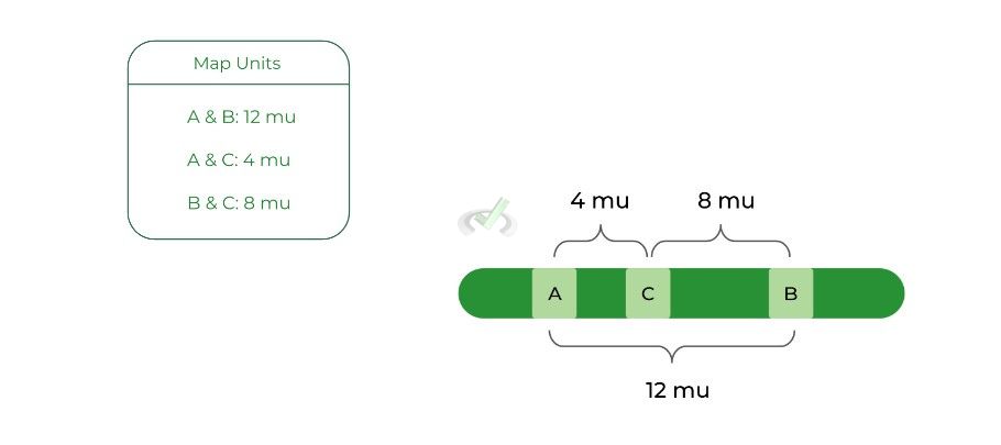 Exceptions To Mendelian Genetics Linked Genes On The MCAT MedLife Content Review 