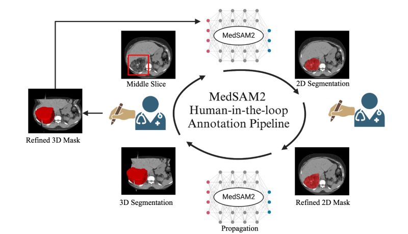 Github Jmbreche Medsam - Gorgeous Abstract Texture - 8K