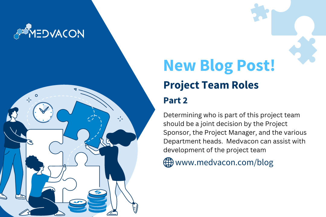 Project Team Roles