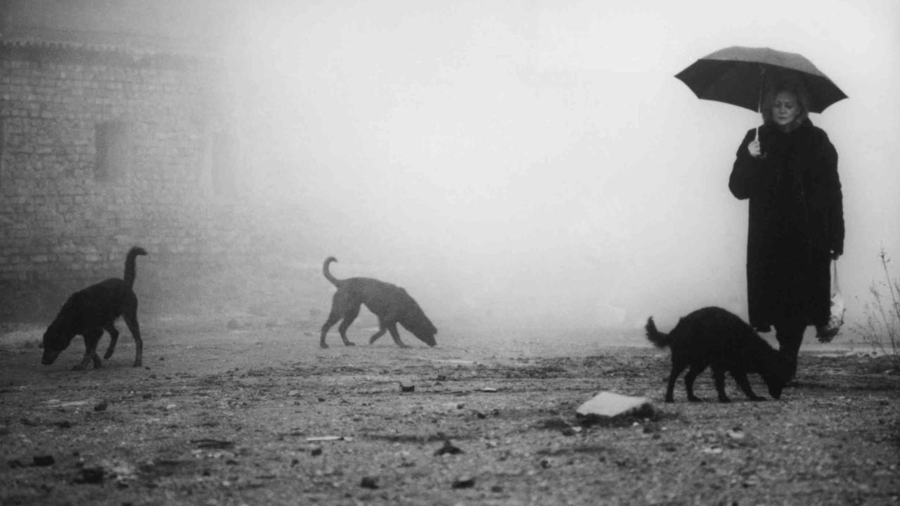 Kárhozat filminden bir sahne