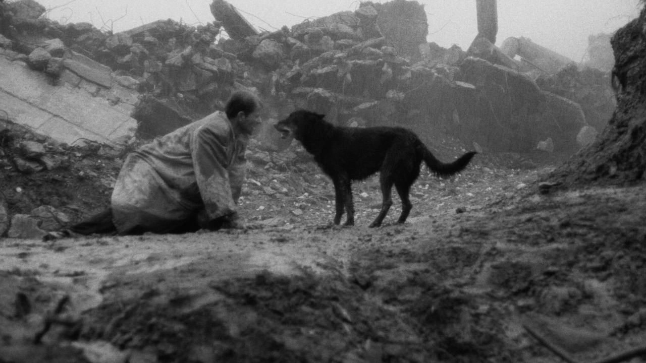 Shiva baby filminden bir sahne