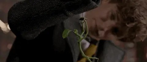 a bowtruckle hanging from Newt Scamander's sleeve from the movie Fantastic Beasts and Where to Find Them