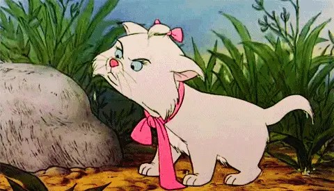 Clip from the Aristocats where the fluffy white kitten is sticking its drenched with water and tongue out.