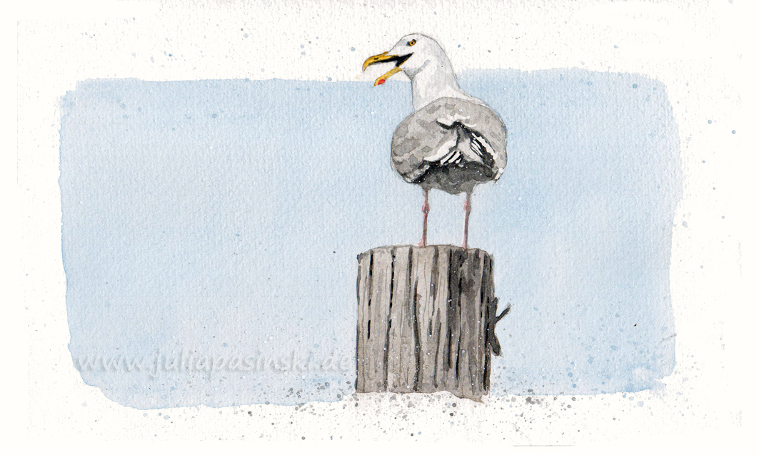 Vogel Mowe Zeichnen Lernen Schritt Fur Schritt Tutorial Zeichnen Leicht Gemacht